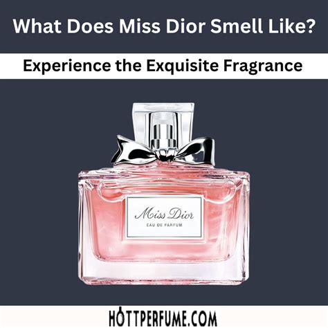 miss dior 2010|what does miss dior smell like.